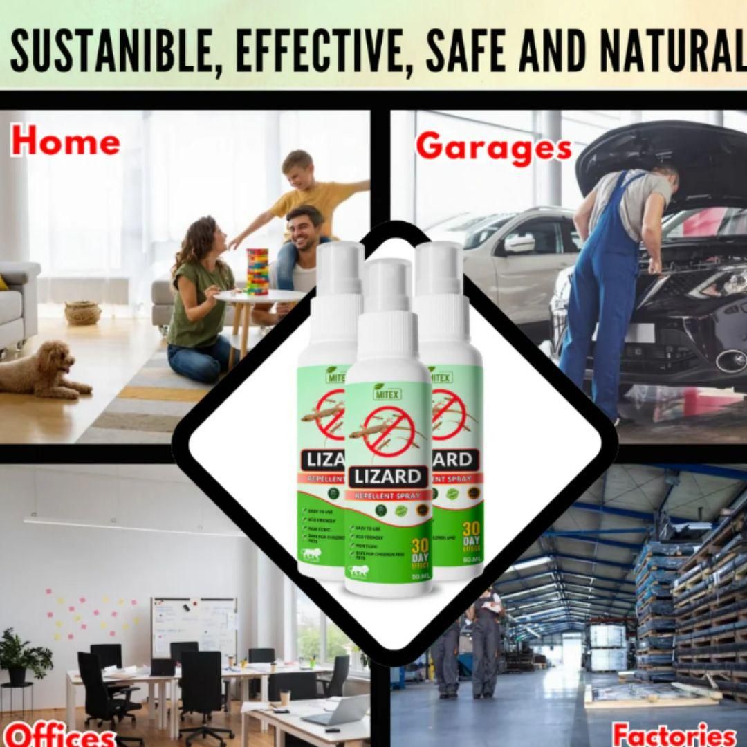 Natural Lizard Repellent Spray | Safe & Effective Indoor Use | 50ML Bottles (Pack of 3)