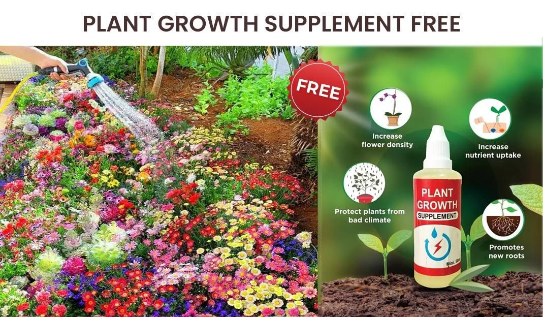 100 Varieties of Flower Seeds Pack with Free Plant Growth Supplement | Easy to Grow | Colorful Garden Bloom
