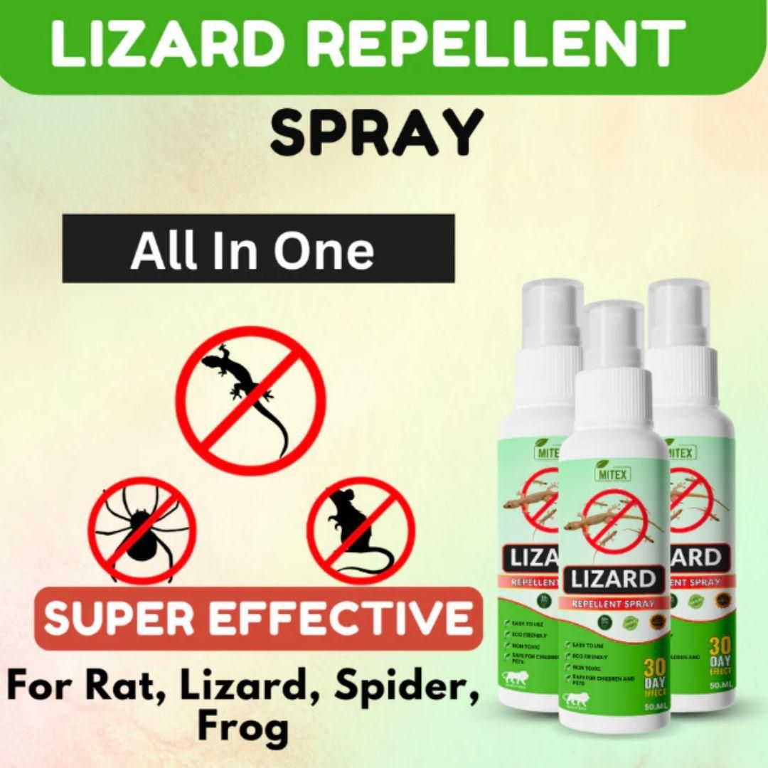 Natural Lizard Repellent Spray | Safe & Effective Indoor Use | 50ML Bottles (Pack of 3)
