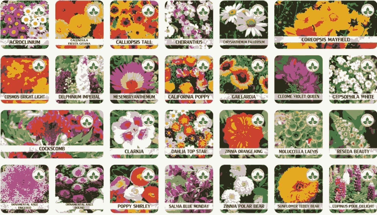 100 Varieties of Flower Seeds Pack with Free Plant Growth Supplement | Easy to Grow | Colorful Garden Bloom