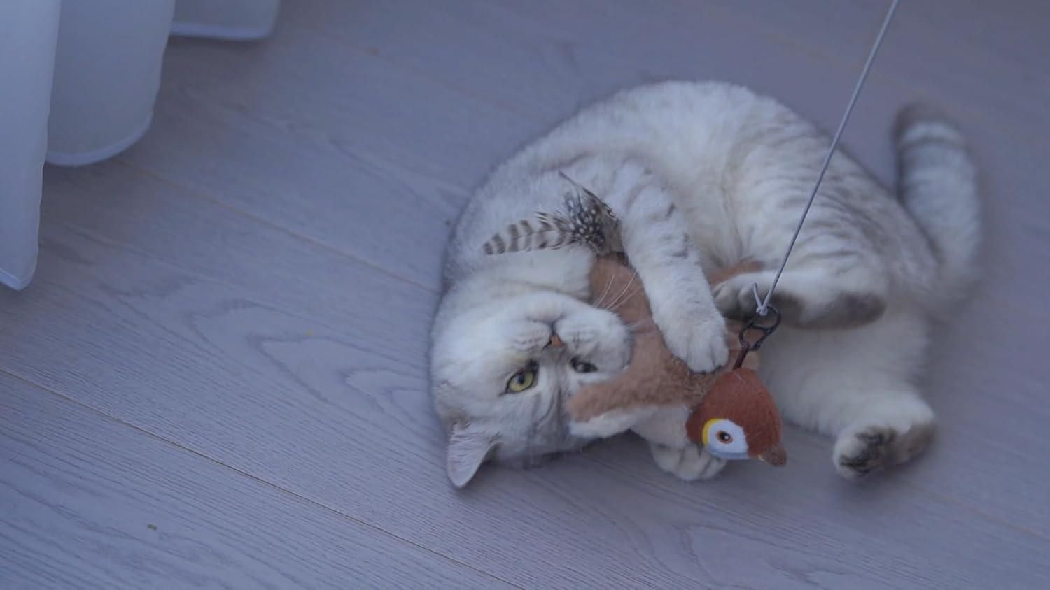 Rechargeable Flapping Pet Toy – Interactive Moving Toy for Cats and Dogs | Automatic Chirping & Motion (Pack of 1)
