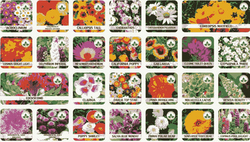 100 Varieties of Flower Seeds Pack with Free Plant Growth Supplement | Easy to Grow | Colorful Garden Bloom
