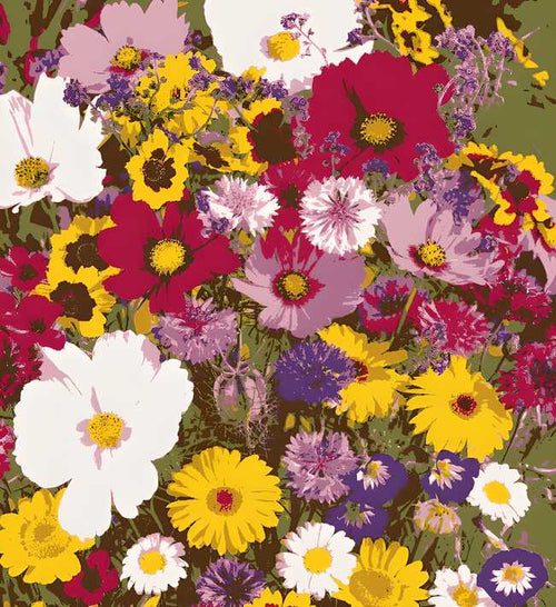 100 Varieties of Flower Seeds Pack with Free Plant Growth Supplement | Easy to Grow | Colorful Garden Bloom